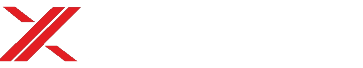 AuctionX Logo